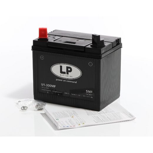 ELMAG Batterie 12 V-24Ah 'wartungsfrei' für Stromerzeuger, 9503001