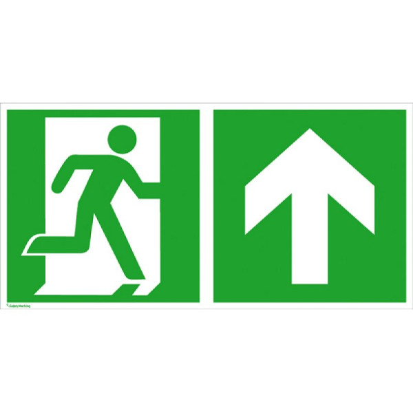 Stein HGS Rettungsschild Notausgang (rechts) mit Richtungspfeil aufwärts bzw. geradeaus, Aluminium, beschichtet, 400 x 200 mm, 15.3024