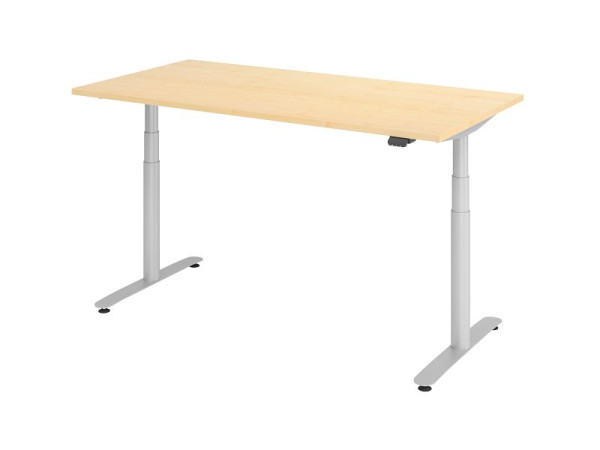 Hammerbacher Sitz-Steh-Schreibtisch elektrisch 160x80cm Ahorn/Silber, VXDLR16/3/S