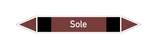 Schilder Klar Rohrleitungskennzeichen Sole, 100x15 mm Folie selbstklebend, 101673/60