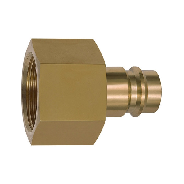 Riegler Nippel für Kupplungen NW 19, Messing blank, G 1 1/4 IG, 141575