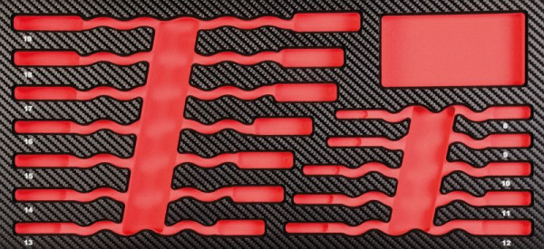 Projahn ProForm Einlage leer für GearTech, 5999-05E
