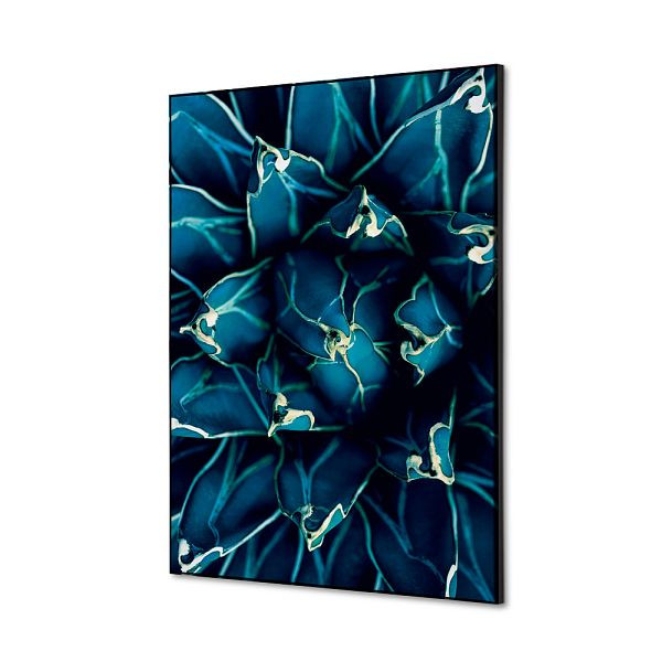 Showdown Displays Spannstoff Wanddekoration SET A2 Kaktus Blau, TFR22WA2-SET-I819
