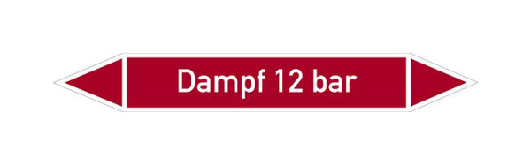 Schilder Klar Rohrleitungskennzeichen Dampf 12 bar, 100x15 mm Folie selbstklebend, 101492/60
