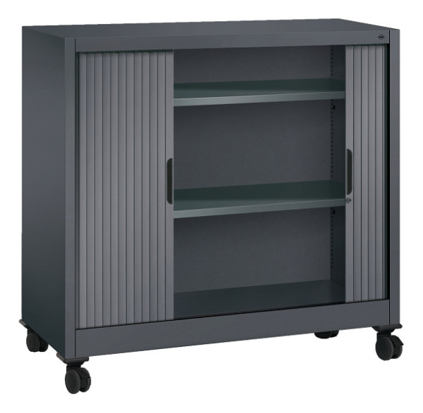 C+P Sideboard mit Rollladen Omnispace, H1030xB1200xT420mm, 7021/7021, 3243-00 S10225