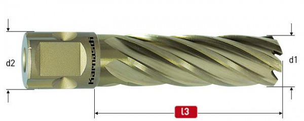 Karnasch HSS-XE Kernbohrer, Sandwich Nitto/Uni-Schaft 19mm, Nutzlänge 55mm, Gold-Line55 d=1'', VE: 2 Stück, 201243040
