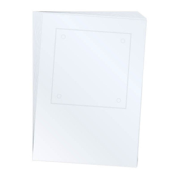 Stein HGS Beschriftungseinlagen für Türschild 'Cristallo' mit 4 Bohrungen, 297 mm, DIN A4, lackmattiert, 297 mm, DIN A4, 210 mm, VE: 10 Stück, 60038.0006