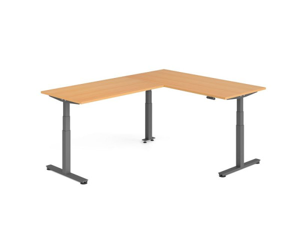 Hammerbacher Sitz-Steh-Winkeltisch 240x180cm Buche/Graphit, VXDSMW1916/6/G