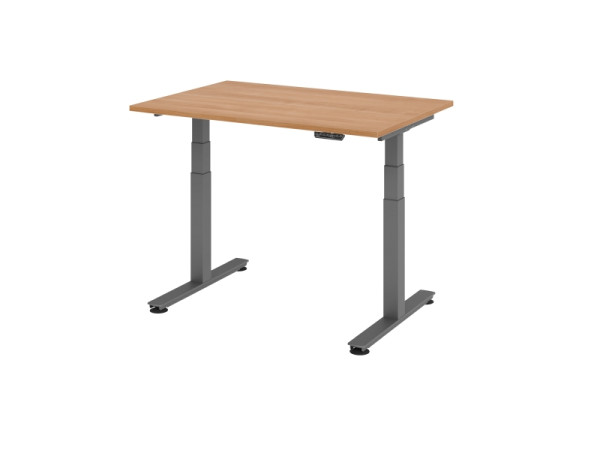 Hammerbacher Sitz-Steh-Schreibtisch elektrisch 120x80cm Nussbaum, VXDSM12/N/G
