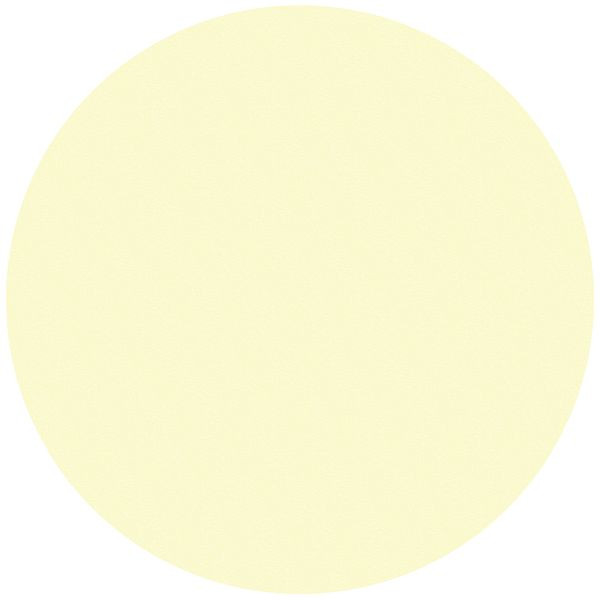 Moedel Bodenmarkierungspunkte, Aluminium, langnachleuchtend, 160-mcd, selbstklebend, Ø 100 mm, 55023