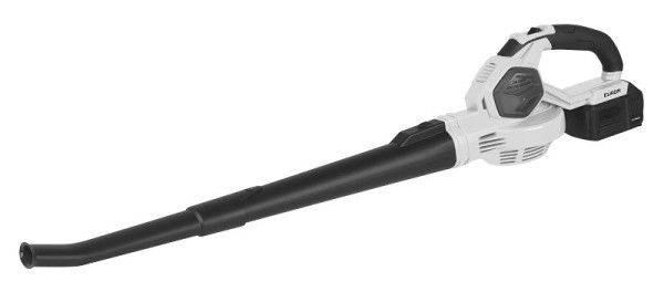 Eurom Laubbläser, leicht, akkubetrieben, 243062, 8713415243062