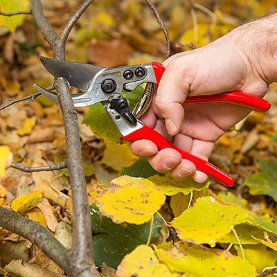 Berger Handschere, abgewinkelter Schneidkopf, Länge: 22 cm, VE: 6 Stück, 1114