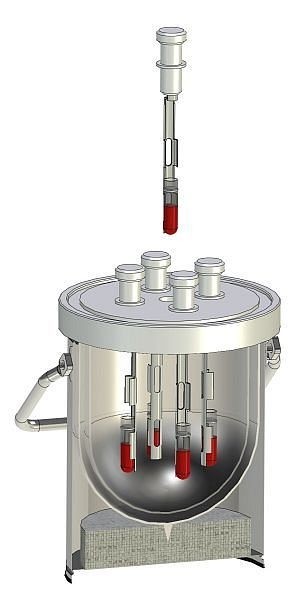 KGW Isotherm Dewar-Transportgefäß Typ 29BE-Bio-V2, 4 l, 1224-V2