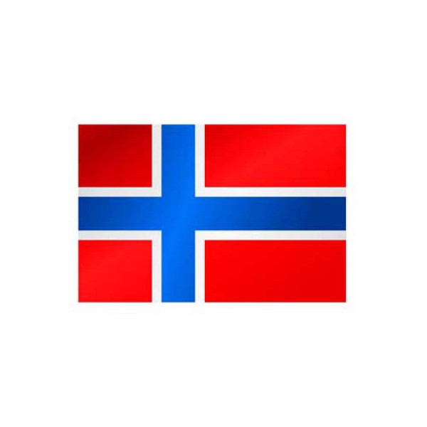 Stein HGS Länderflagge Norwegen, 300 x 120 cm (Hochformat), mit Kunststoff-Karabiner, FlagTop 110 g/m², für Fahnenmasten 7 m, ohne Hohlsaum, 27332