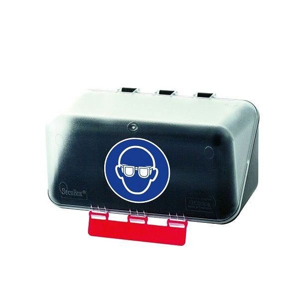 WERO SecuBox Aufbewahrungsbox für Schutzbrillen Mini, 20462806