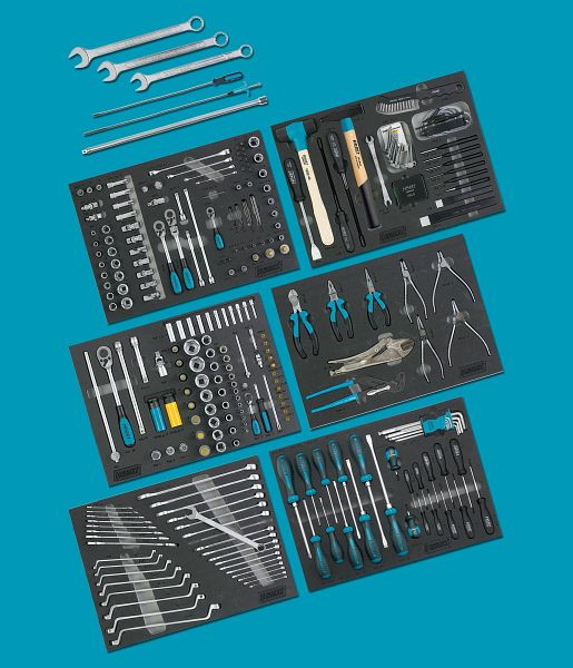 Hazet Werkzeug-Sortiment in Weichschaumeinlage, Anzahl Werkzeuge: 264, 0-2900-163/264-BMW