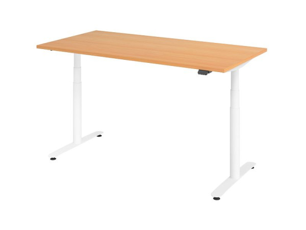 Hammerbacher Sitz-Steh-Schreibtisch elektrisch 160x80cm Buche/Weiß, VXDLR16/6/W