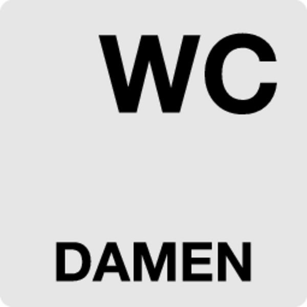 Schilder Klar Piktogrammschild WC Damen, 60x60x0.5 mm Aluminium glatt, 1216/51