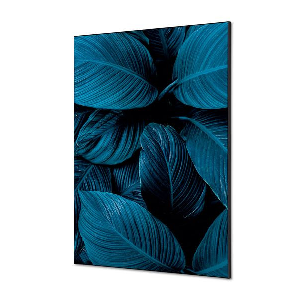 Showdown Displays Spannstoff Wanddekoration SET A1 Botanische Blätter Blau, TFR22WA1-SET-I20