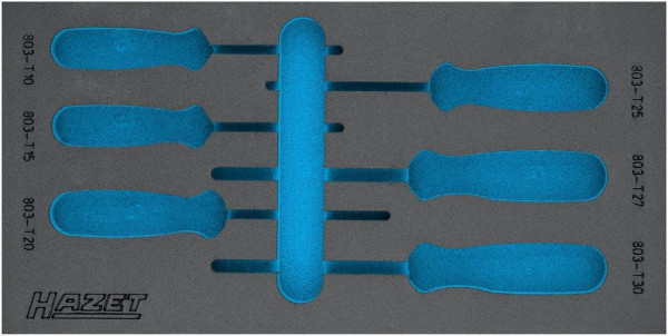 Hazet 2-Komponenten Weichschaum-Einlage, für 163-225/6 Abmessungen / Länge: 342 mm x 172 mm, 163-225L