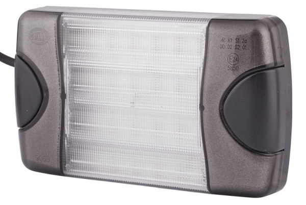 HELLA Blinkleuchte, DuraLED, LED, 24/12V, Anbau/geschraubt, glasklar, Kabel: 2500mm, offene Kabelenden, hinten, wagerechte Befestigung, 2BA 980 607-201