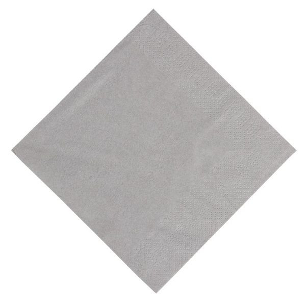 Duni Kompostierbare Lunchservietten granitgrau 33cm, VE: 1000 Stück, GJ103, 107321031569155