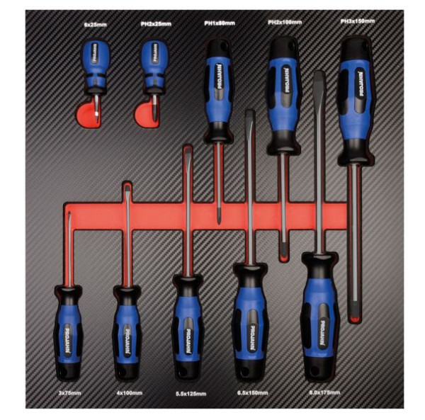 Projahn Schraubendreher Einlage 10 teilig, 5999-481