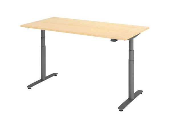 Hammerbacher Sitz-Steh-Schreibtisch elektrisch 160x80cm Ahorn/Graphit, VXDLR16/3/G