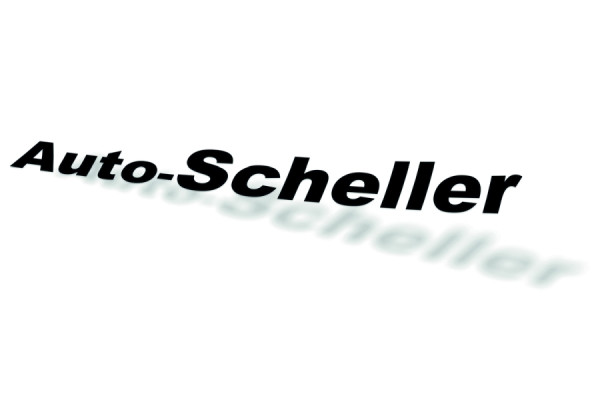 Eichner Konturgeschnittene Einzelbuchstaben, einzeilig, Größe 125 x 20 mm, auf transparenter Folie, VE: 100 Stück, 9220-00123