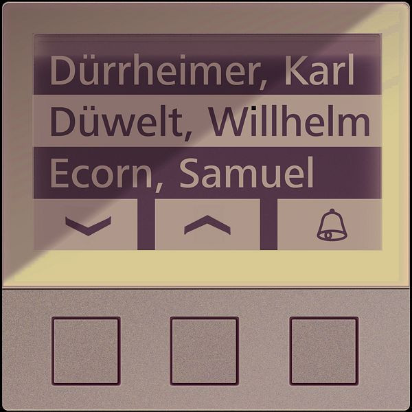 TCS Displaymodul mit 3 Tasten Serie AMI, für bis zu 256 Wohneinheiten, schwarz, AMI11603-0057