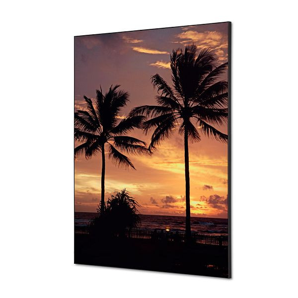 Showdown Displays Spannstoff Wanddekoration SET A1 Palmen Sonnenuntergang, TFR22WA1-SET-I826