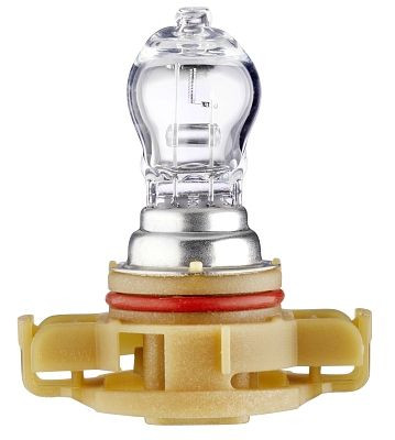 HELLA Glühlampe - PS24W - Standard - 12V - 24W - Schachtel, 8GA 223 569-011