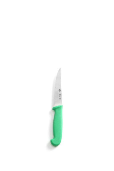 Hendi Universalmesser, LxBxH: 205x25x40 mm, Grün, 842119