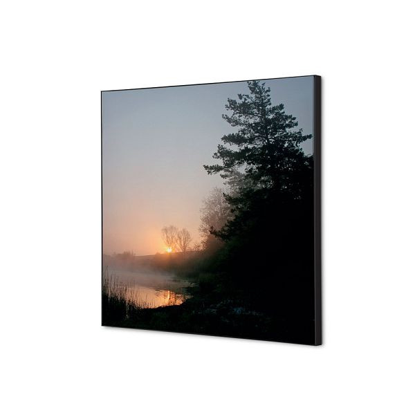 Showdown Displays Spannstoff Wanddekoration SET 40 x 40 Wald Sonnenaufgang, TFR22W400-SET-I829