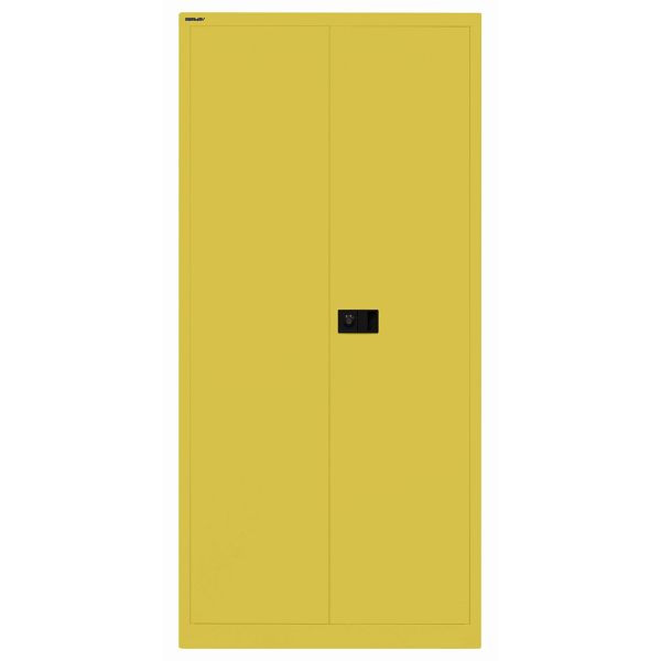 Bisley Flügeltürenschrank UNIVERSAL, mit Garderobeneinsatz, 677 tickleweed, E782AAG677