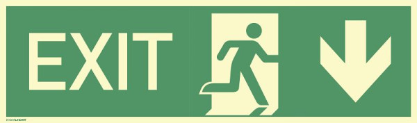 Moedel EXIT nach unten, Aluminium, langnachleuchtend, 160-mcd, 390x115 mm, 60563