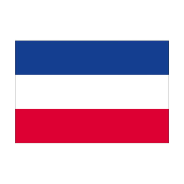 Stein HGS Landesflagge Schleswig-Holstein (ohne Wappen), 120 x 200 cm (Querformat), mit Seil und Schlaufe, FlagTop 110 g/m², für Fahnenmasten 7 m, ohne Hohlsaum, 26620