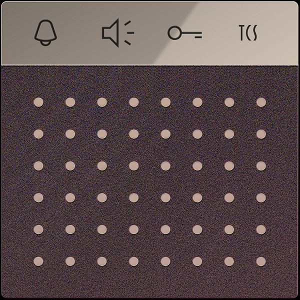 TCS BUS Sprechenmodul Serie AMI, silber, AMI11110-0010