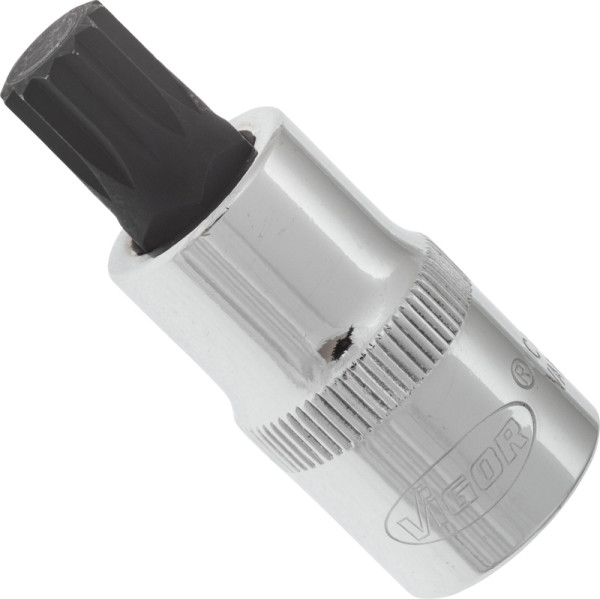 VIGOR Innenvielzahn Schraubendreher-Einsatz (XZN), Vierkant hohl 12,5 mm (1/2 Zoll), Innen Vielzahn Profil XZN, M12, Länge: 55 mm, VE: 5 Stück, V2099