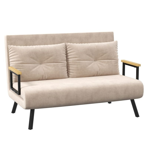 HOMCOM Schlafsofa 2er-Sofa Samtsofa, Schlaffunktion, inkl. 2 Kissen, Samtoptik, 839-835V00BG
