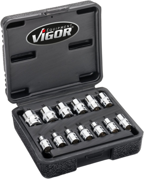 VIGOR Doppelsechskant-Steckschlüssel Satz, Vierkant hohl 6,3 mm (1/4 Zoll), Außen-Doppel-Sechskant Profil, 25 mm, Anzahl Werkzeuge: 13, V7514/13
