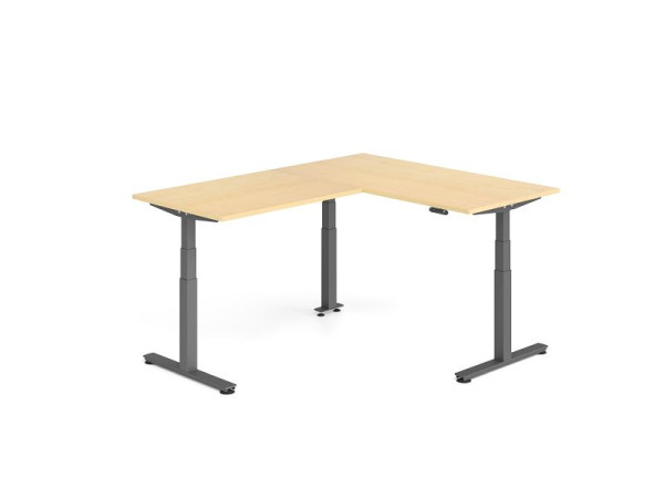 Hammerbacher Sitz-Steh-Winkeltisch 200x160cm Ahorn/Graphit, VXDSMW1612/3/G