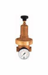 Riegler Druckregler DRV 250, Niederdruckausführung, 101436