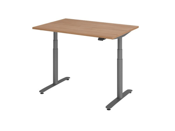 Hammerbacher Sitz-Steh-Schreibtisch elektrisch 120x80cm Nussbaum/Graphit, VXDLR12/N/G