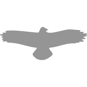Moedel Piktogramm Vogel einzeln grau, Folie, 475x175 mm, 52397