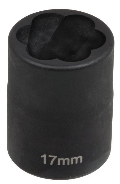 SW-Stahl Spiralnuteneinsatz, 1/2", 17 mm, 05545L-17, 4033592061711